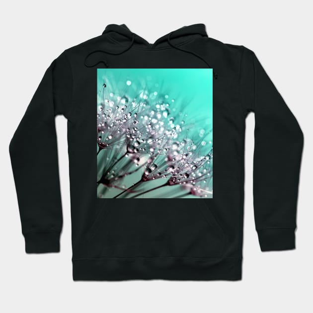 Dew flowers Hoodie by Alligant22